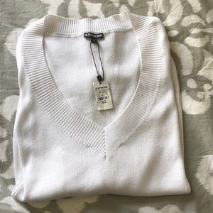 NWT Express sweater